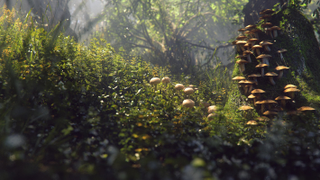 Illustration for article titled 23 paisajes fotorrealistas que son en realidad renders 3D